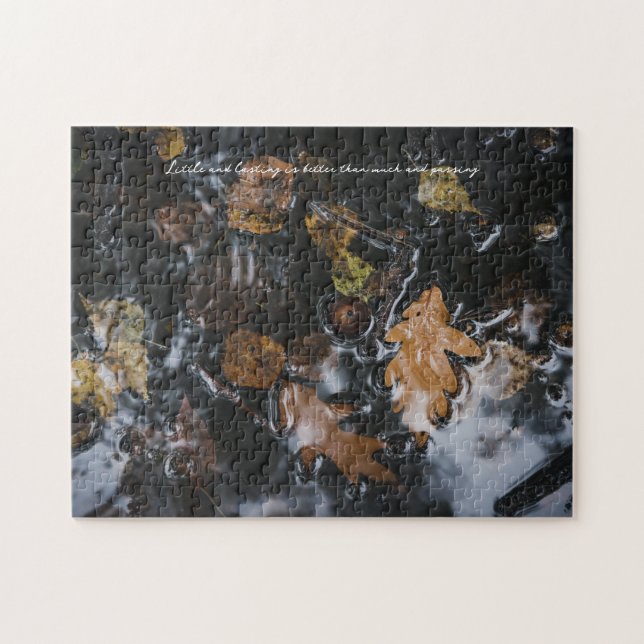 Autumn leaves and acorns in mysterious waters jigsaw puzzle (Horizontal)