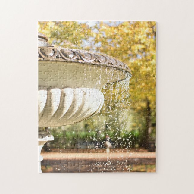 Autumn Leaves and Fountain Regent's Park London UK Jigsaw Puzzle (Vertical)