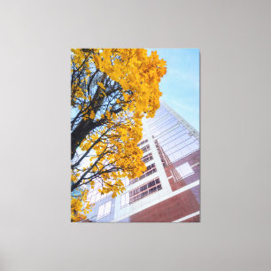 Autumn Leaves and Skyscraper Canvas Print