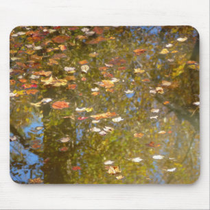 Autumn Leaves and Stream Reflection at Greenbelt Mouse Mat