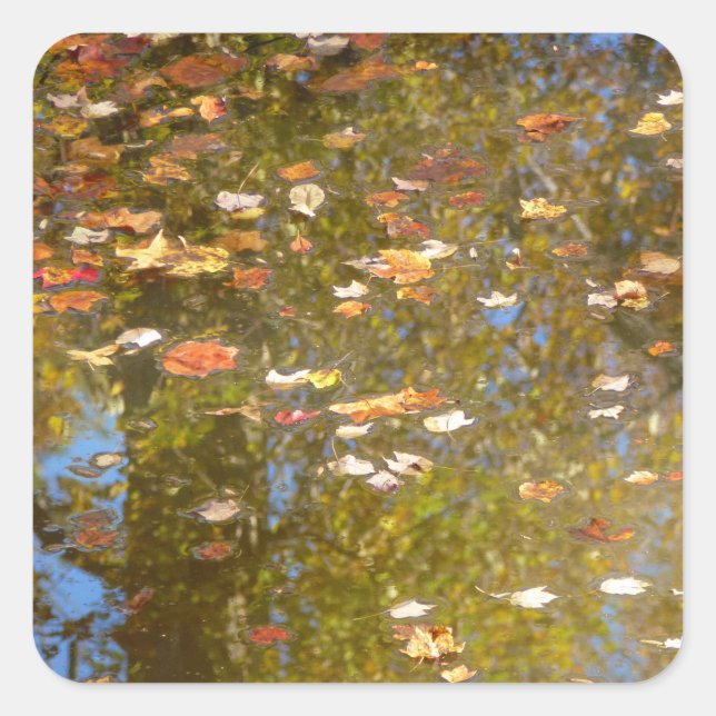 Autumn Leaves and Stream Reflection at Greenbelt Square Sticker (Front)