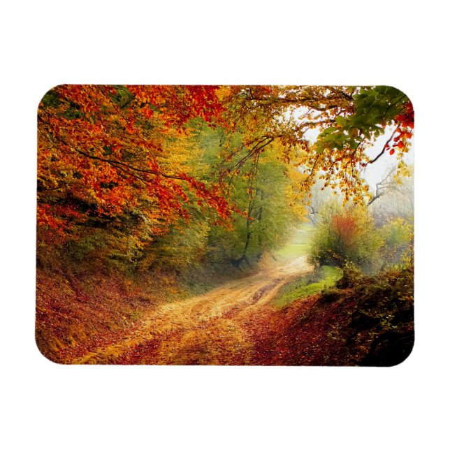 Autumn Leaves and Trees Covering Dirt Road Magnet (Horizontal)
