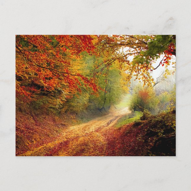 Autumn Leaves and Trees Covering Dirt Road Postcard (Front)
