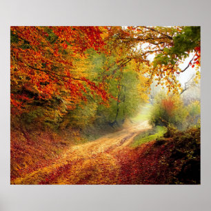 Autumn Leaves and Trees Covering Dirt Road Poster