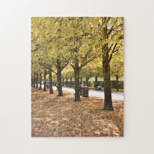 Autumn Leaves and Trees Regent's Park London UK Jigsaw Puzzle