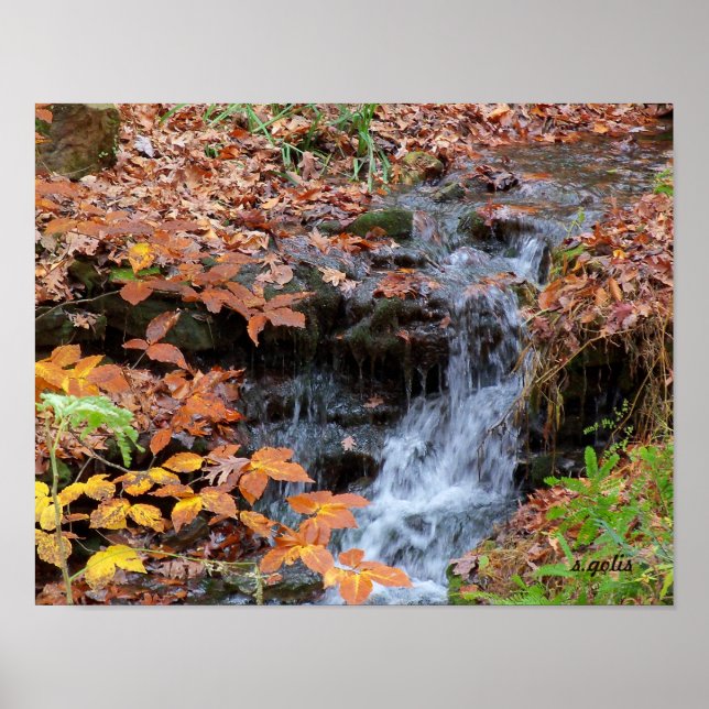 Autumn Leaves and Waterfall Photo Poster (Front)