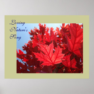 Autumn Leaves art Loving Nature's Song Red Leaves Poster