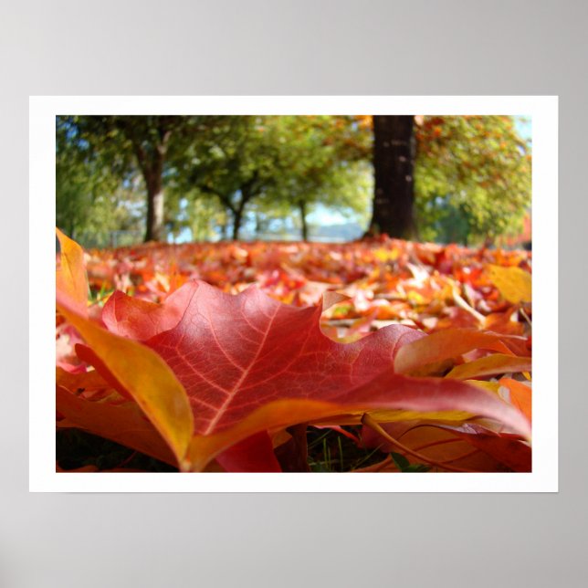 Autumn Leaves art prints Fall Trees nature custom (Front)