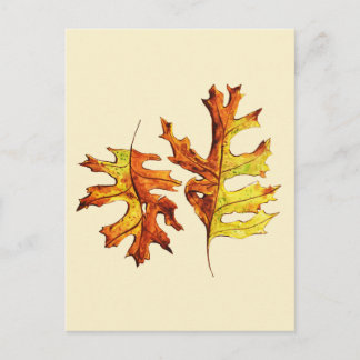 Autumn Leaves Beautiful Nature Watercolor Art Postcard