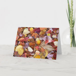 Autumn Leaves Blank Note Card