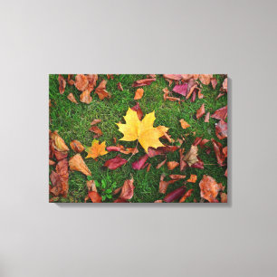 Autumn Leaves Canvas Print