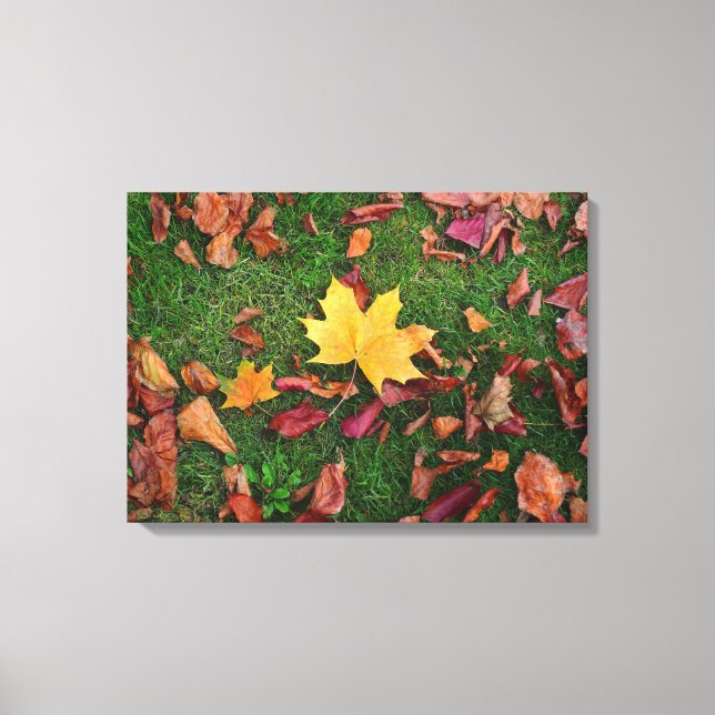 Autumn Leaves Canvas Print (Front)