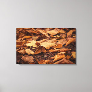 Autumn leaves canvas print