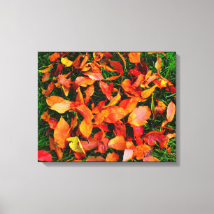 Autumn Leaves Canvas Print
