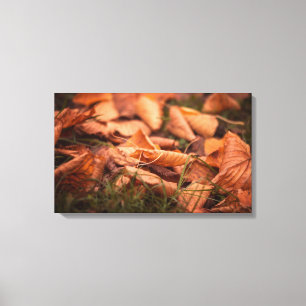 Autumn leaves canvas print
