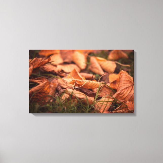 Autumn leaves canvas print (Front)