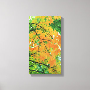 Autumn Leaves Canvas Print
