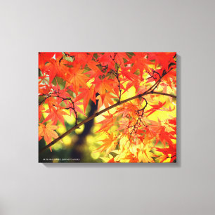 Autumn Leaves [Canvas Print] Canvas Print