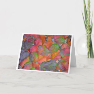 Autumn Leaves Card