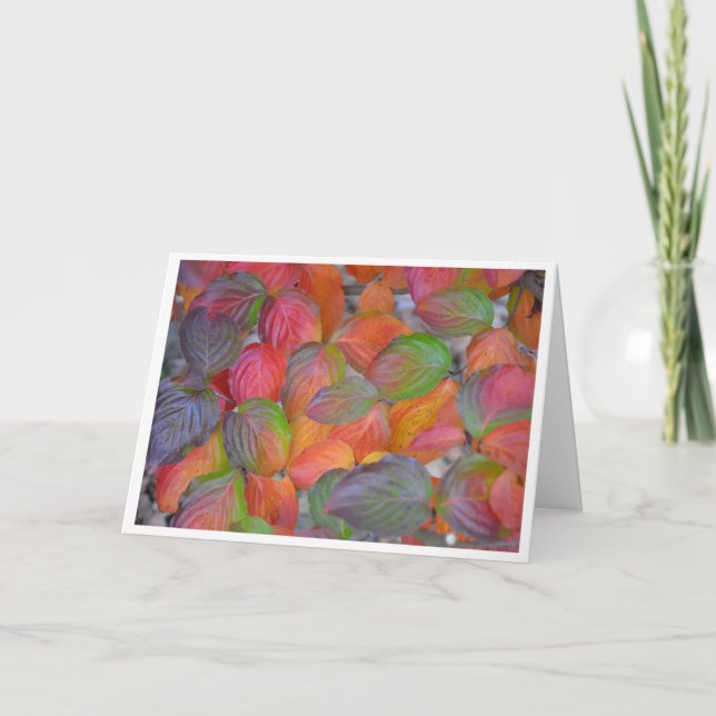 Autumn Leaves Card (Front)