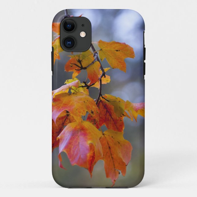 Autumn Leaves Case-Mate iPhone Case (Back)