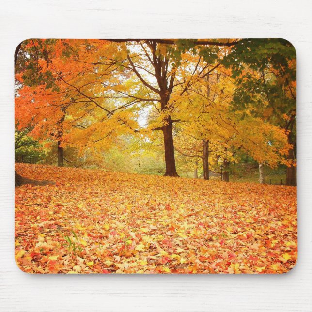 Autumn Leaves, Central Park, New York City Mouse Mat (Front)