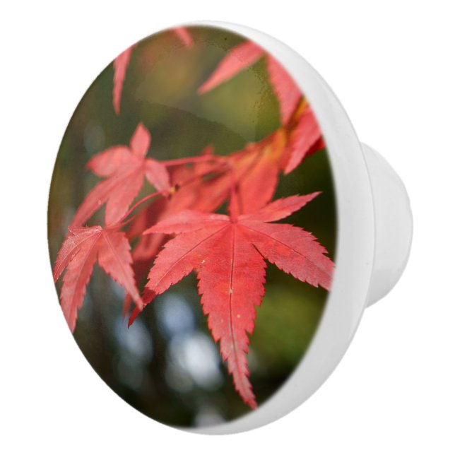 Autumn Leaves Ceramic Knob (Right)