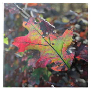 Autumn Leaves Ceramic Tile