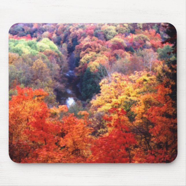 Autumn Leaves Changing Colour Mouse Mat (Front)