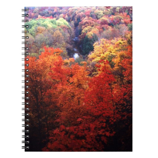 Autumn Leaves Changing Colour Notebook (Front)