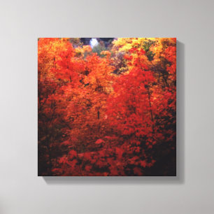 Autumn Leaves Changing Colours Canvas Print