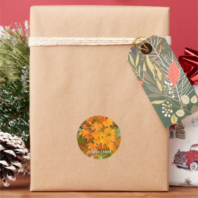 Autumn Leaves Classic Round Sticker (Holiday)