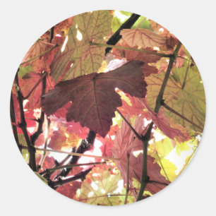 AUTUMN LEAVES CLASSIC ROUND STICKER