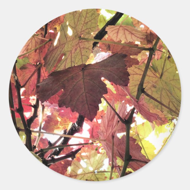 AUTUMN LEAVES CLASSIC ROUND STICKER (Front)