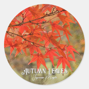 Autumn Leaves Classic Round Sticker