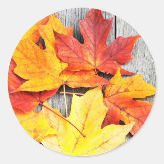 Autumn Leaves Classic Round Sticker