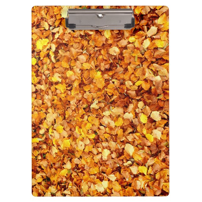 Autumn Leaves ClipBoard (Front)