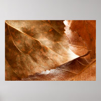 Autumn leaves closeupabstract,autumn,background,br