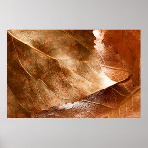 Autumn leaves closeupabstract,autumn,background,br poster