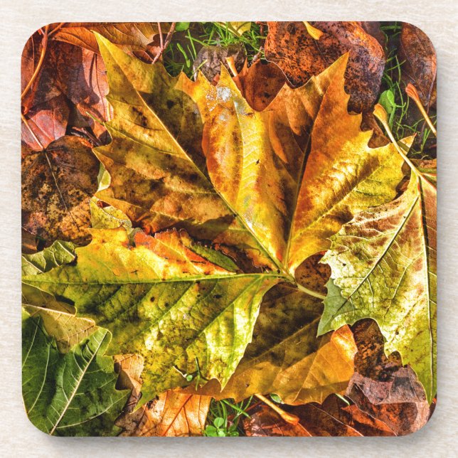 Autumn leaves coaster (Front)