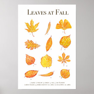 Autumn leaves collection watercolour poster