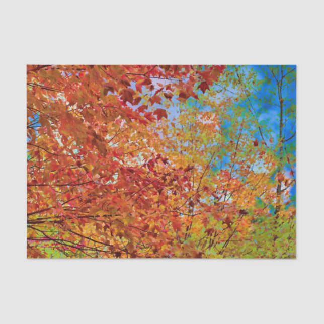 Autumn Leaves Colourful Orange Fall Themed Blue Sk Tissue Paper (Front)