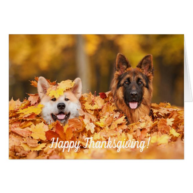 Autumn Leaves & Dogs | Thanksgiving Cards (Front Horizontal)