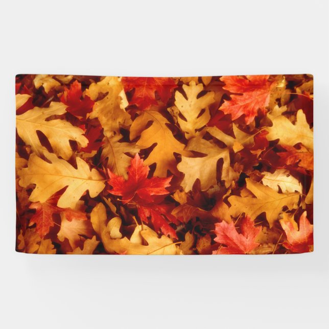 Autumn Leaves - Fall Colour Banner (Horizontal)