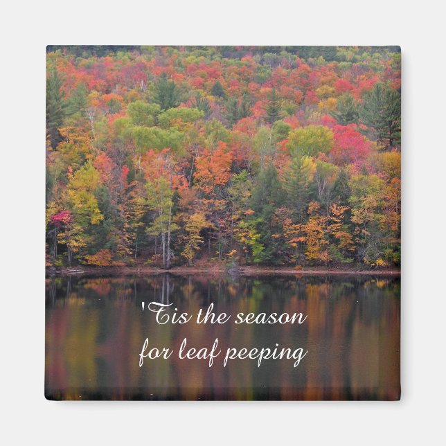 Autumn Leaves Fall Colour Scene Magnet (Front)