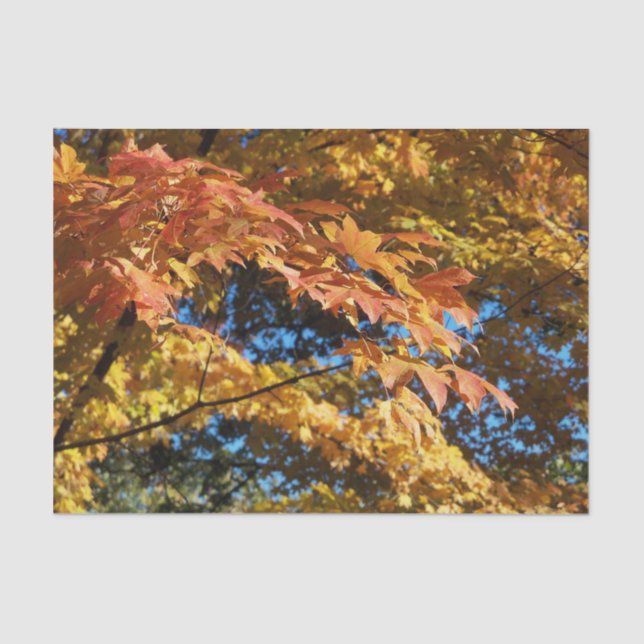 Autumn Leaves Fall Season  Craft  Tissue Paper (Front)