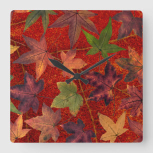 Autumn Leaves Fall Season Tree Leaf Colorful Square Wall Clock