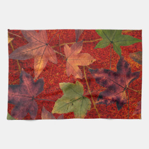 Autumn Leaves Fall Season Tree Leaf Colorful Tea Towel
