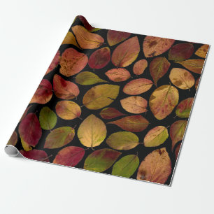 Autumn Leaves Fall Time  Wrapping Paper