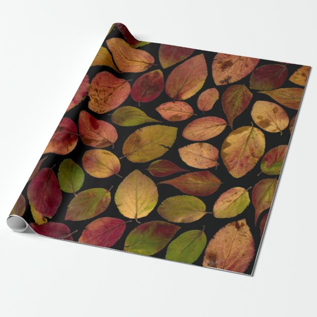 Autumn Leaves Fall Time  Wrapping Paper (Unrolled)